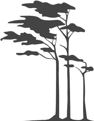 Seabrook_footer_tree